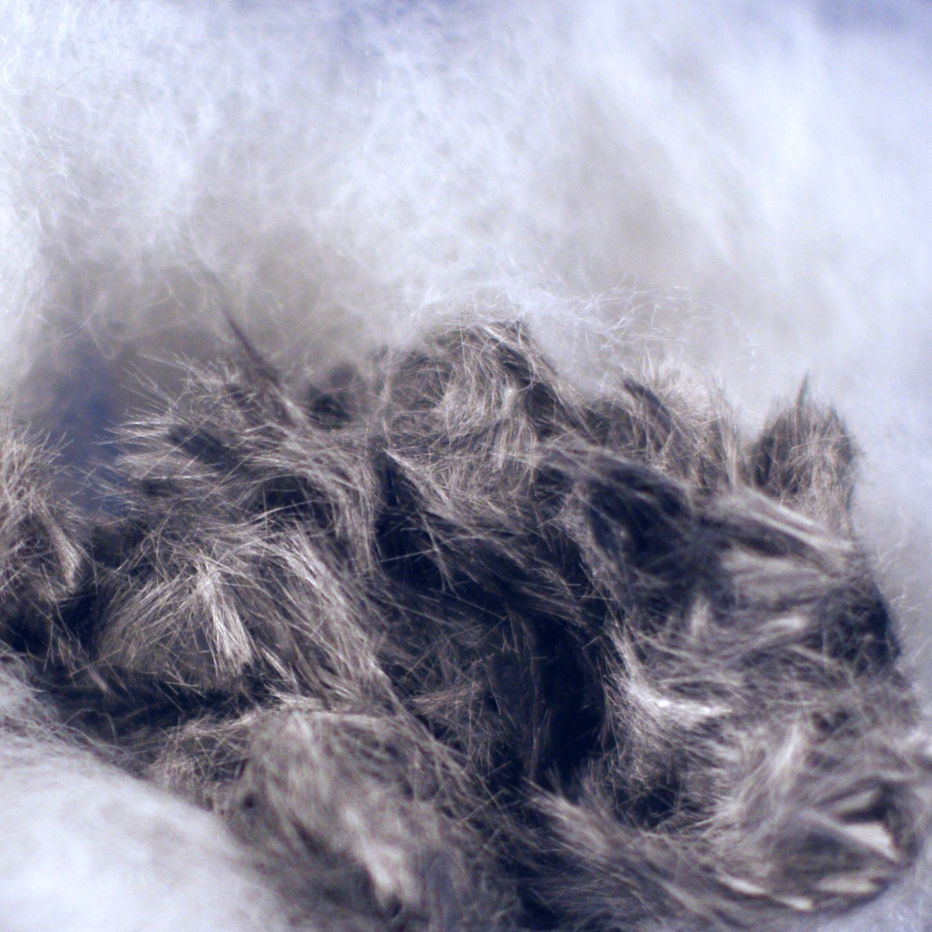 fibres métalliques en inox